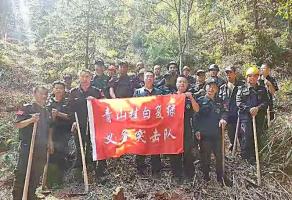 干好每一天|青山掛白我復(fù)綠，無(wú)私奉獻(xiàn)金森人——資源保護(hù)部義務(wù)突擊隊(duì)工作記實(shí)
